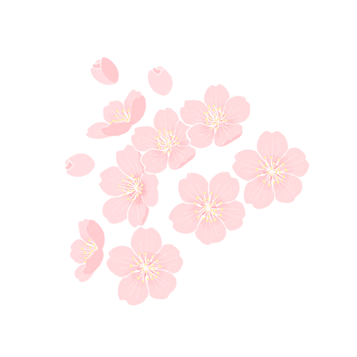 descript